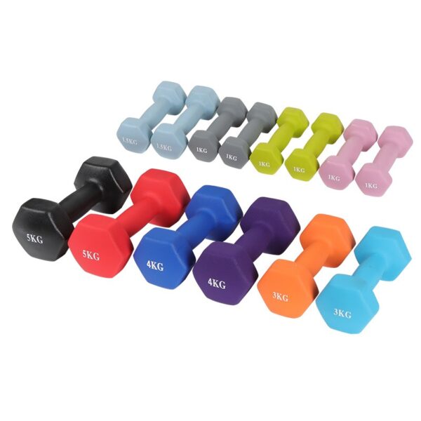 Heavy-Duty Hex Dumbbell - Image 2