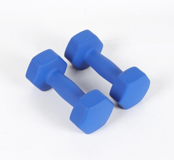 Hex Vinyl-Coated Dumbbell