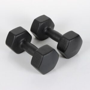Solid Cast Iron Vinyl Dumbbell