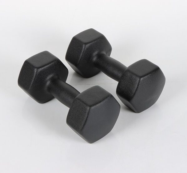 Solid Cast Iron Vinyl Dumbbell
