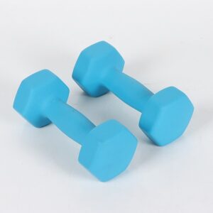 Anti-Roll Hex Dumbbell