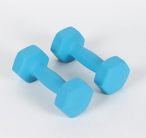 Anti-Roll Hex Dumbbell